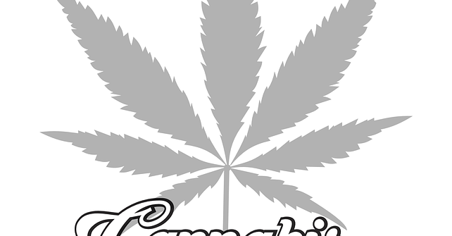 Tout savoir sur les bienfaits du cannabis légal