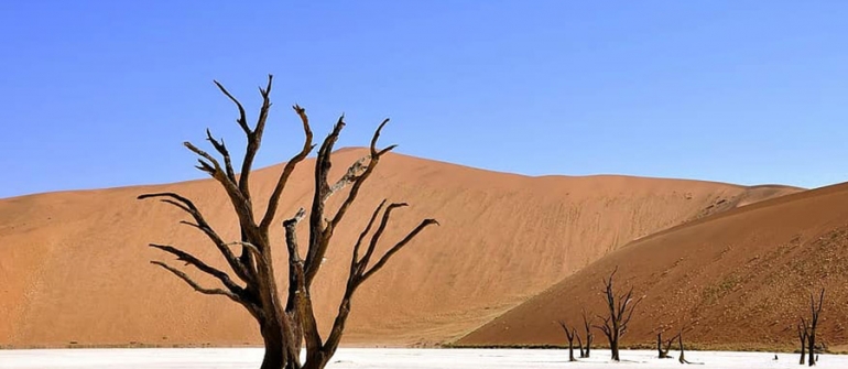 Toutes les bonnes raisons de passer un séjour en Namibie