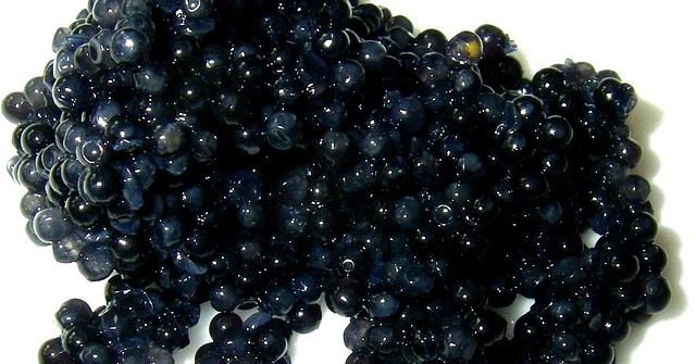 Caviar français : informations à savoir pour bien déguster cet aliment de luxe